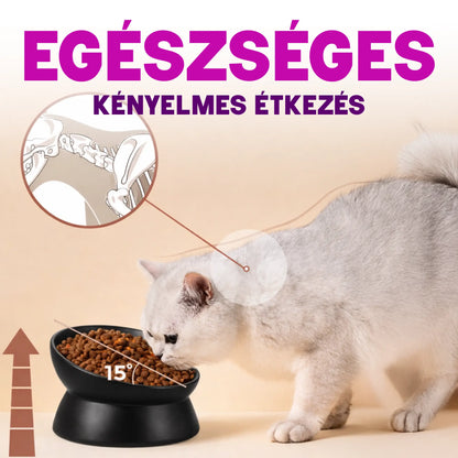 Ergonomikus Kerámia Tál