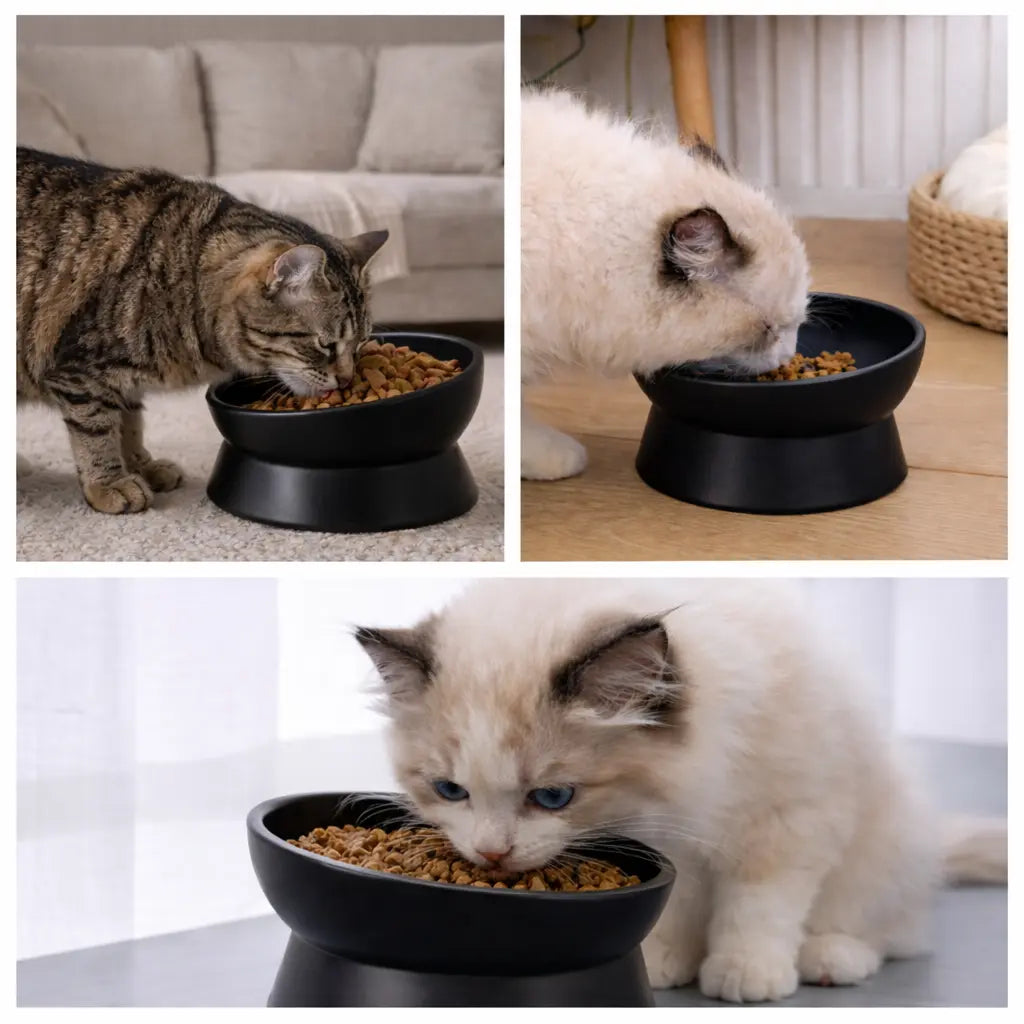 Ergonomikus Kerámia Tál