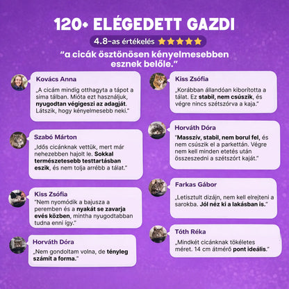 Ergonomikus Kerámia Tál