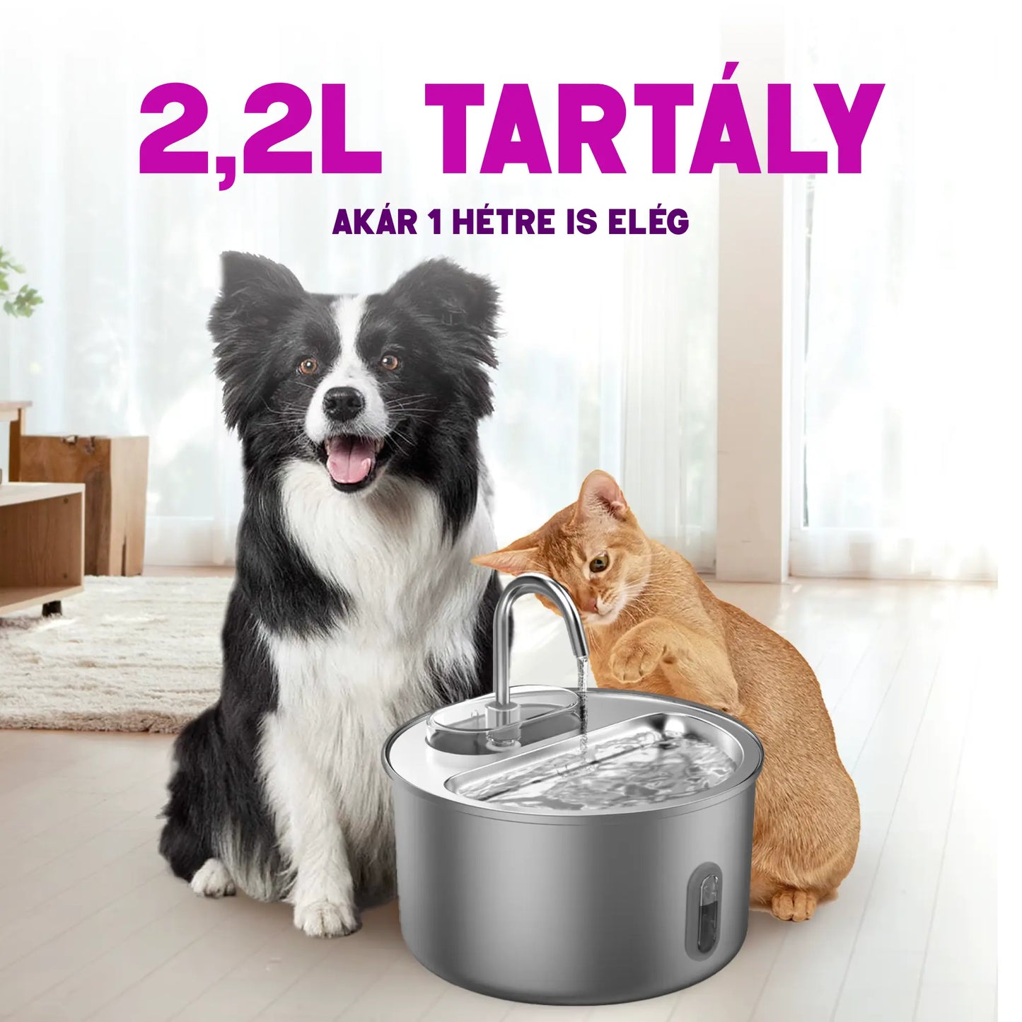 Ivókút - Segít, hogy cicád többet igyon, minden egyes nap
