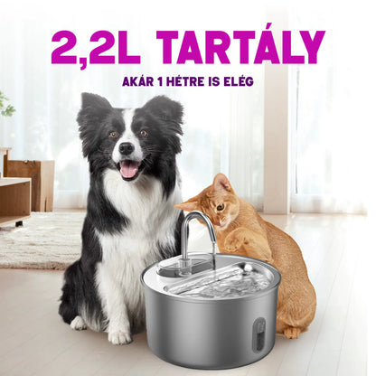 Ivókút - Segít, hogy cicád többet igyon, minden egyes nap
