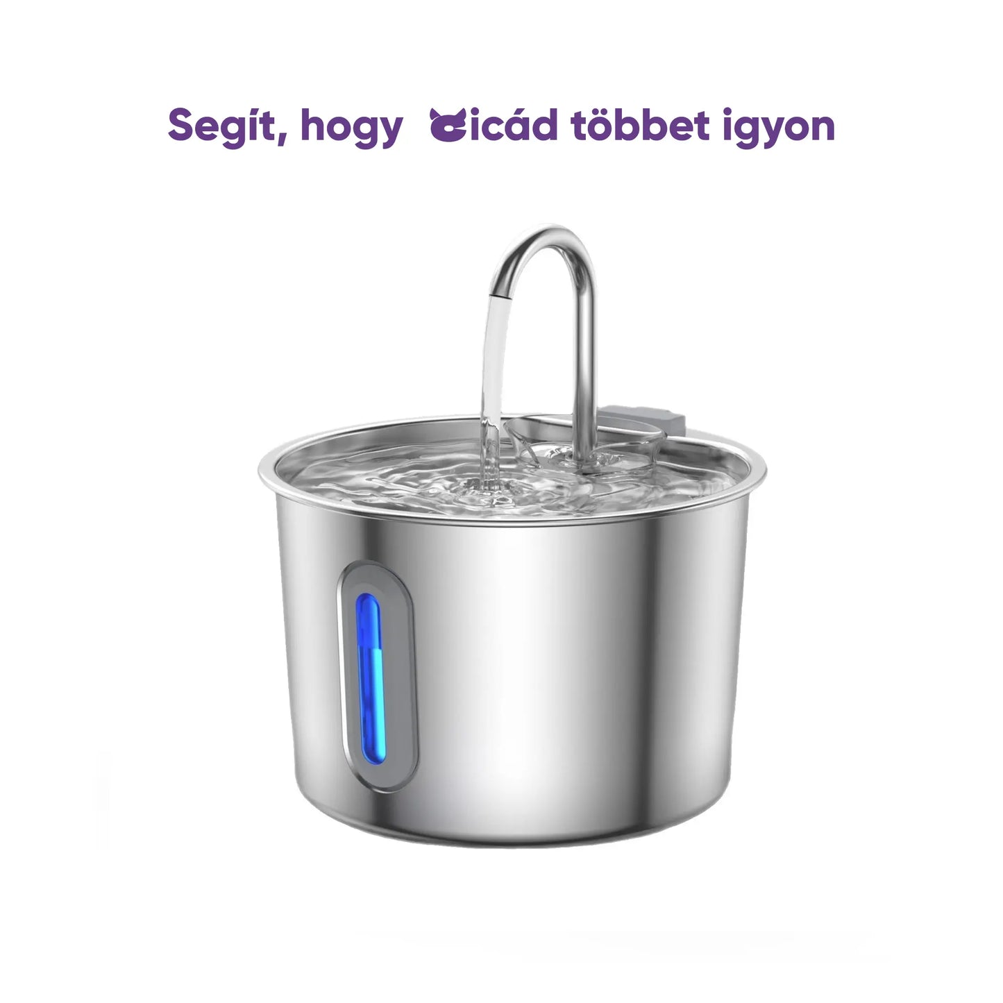 Ivókút - Segít, hogy cicád többet igyon, minden egyes nap